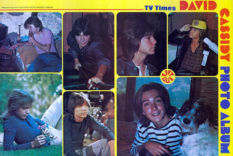 TV Times